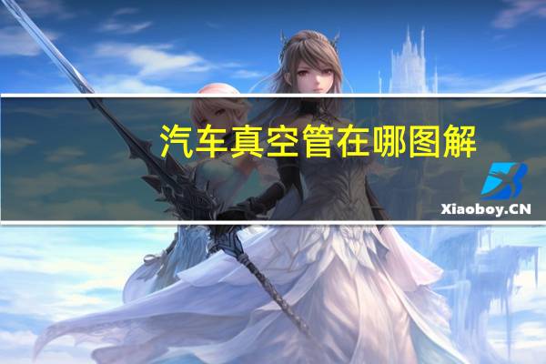汽车真空管在哪图解