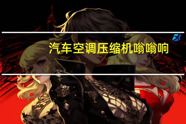 汽车空调压缩机嗡嗡响