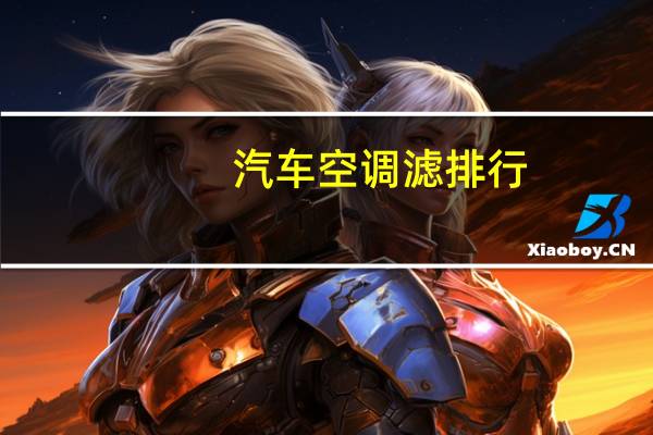 汽车空调滤排行