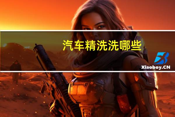 汽车精洗洗哪些