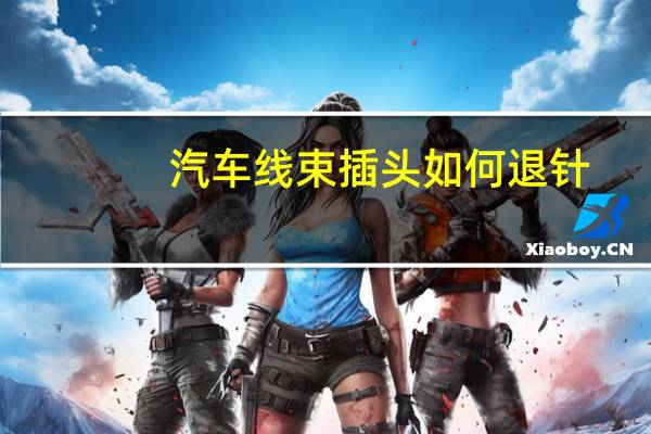 汽车线束插头如何退针