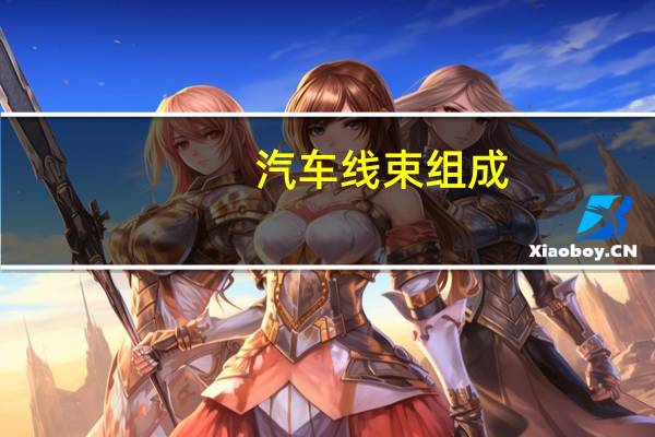 汽车线束组成