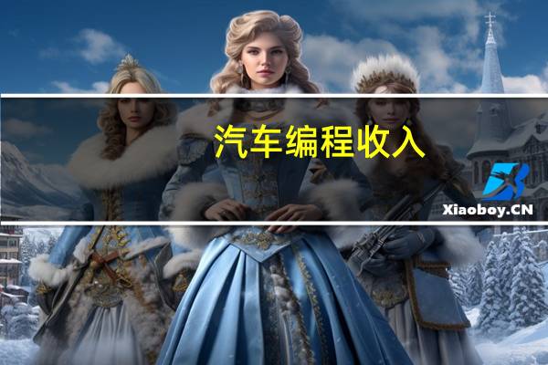 汽车编程收入