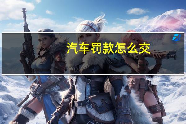 汽车罚款怎么交