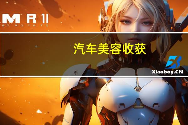 汽车美容收获