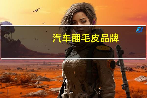 汽车翻毛皮品牌