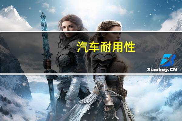 汽车耐用性
