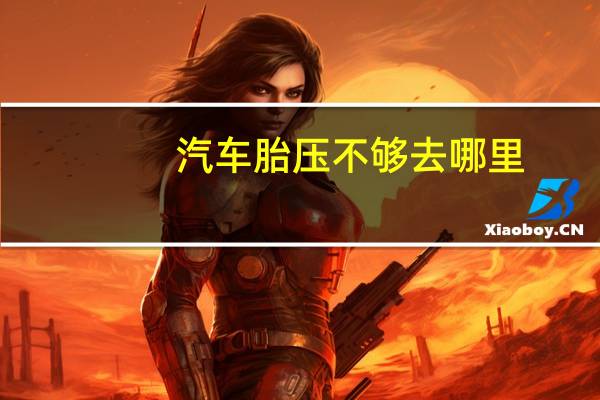汽车胎压不够去哪里