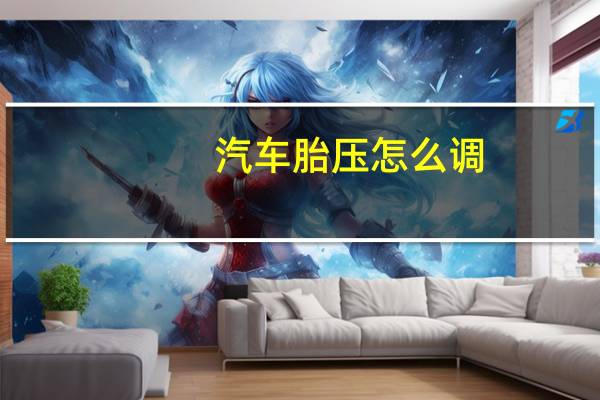 汽车胎压怎么调