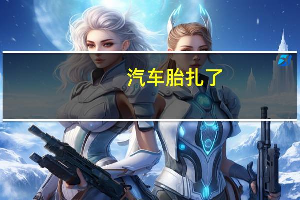 汽车胎扎了