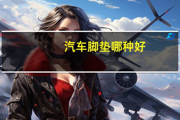 汽车脚垫哪种好