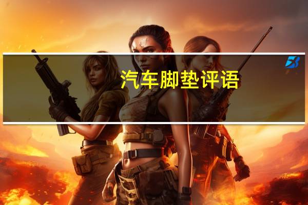 汽车脚垫评语
