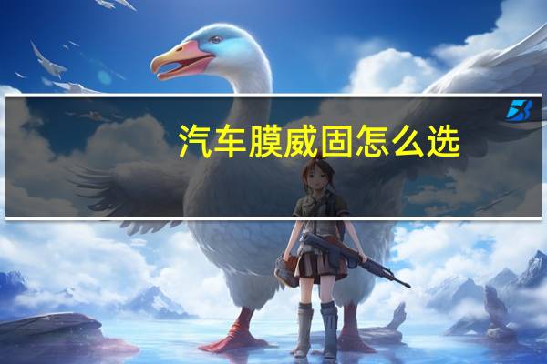 汽车膜威固怎么选