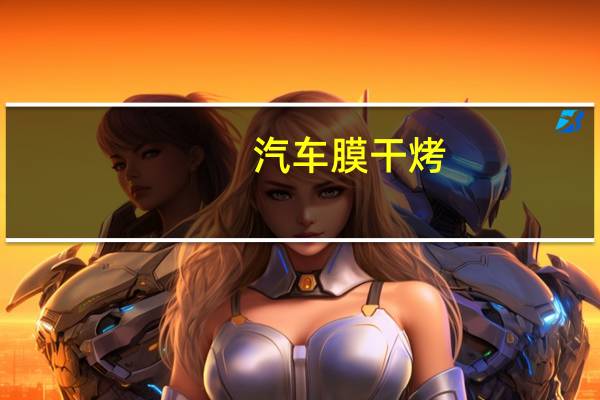 汽车膜干烤