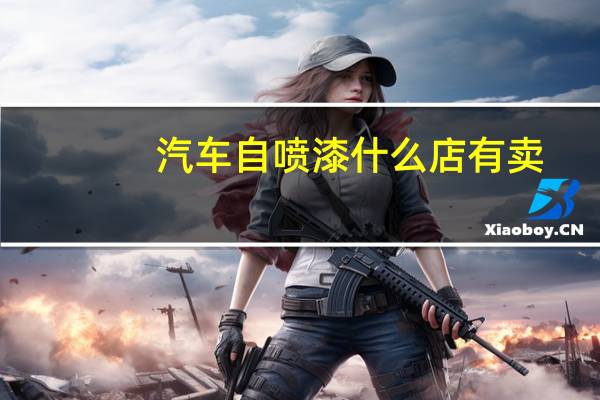 汽车自喷漆什么店有卖