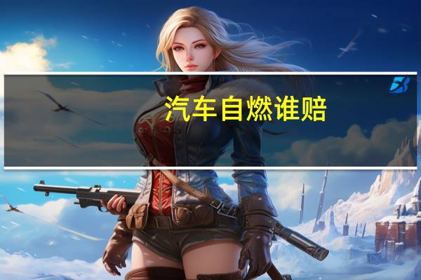 汽车自燃谁赔