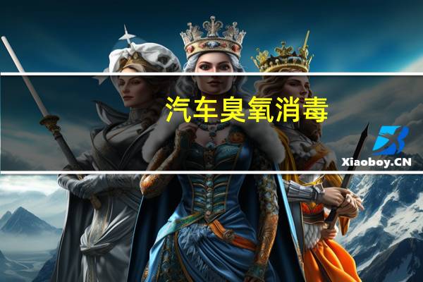 汽车臭氧消毒