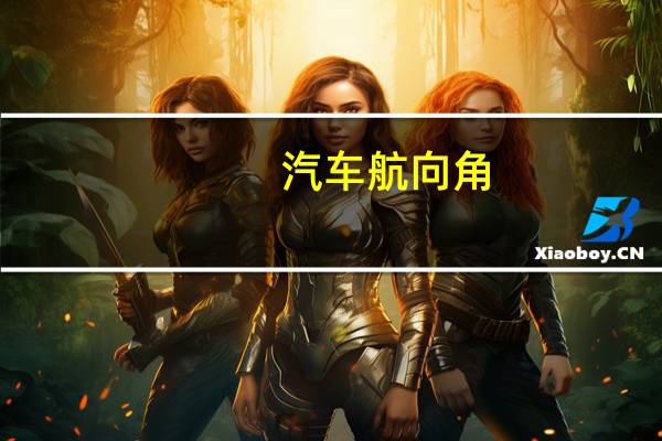 汽车航向角