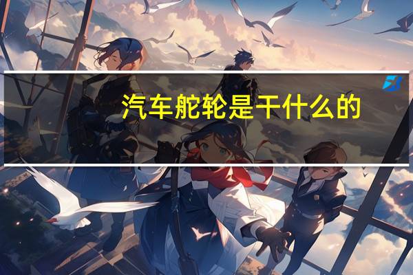 汽车舵轮是干什么的
