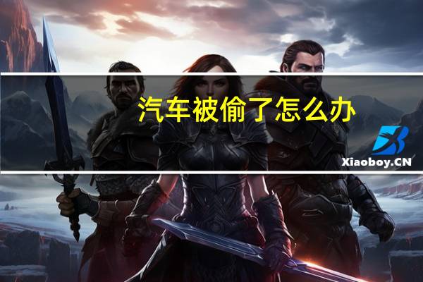 汽车被偷了怎么办