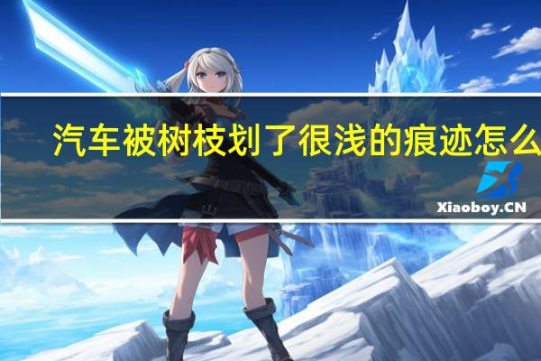 汽车被树枝划了很浅的痕迹怎么办