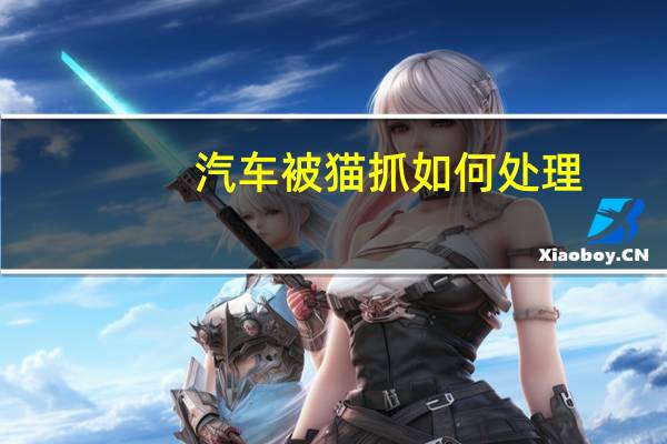 汽车被猫抓如何处理
