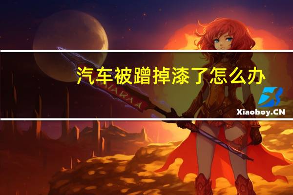 汽车被蹭掉漆了怎么办