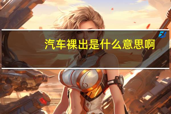 汽车裸出是什么意思啊