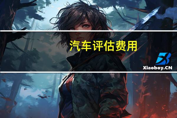 汽车评估费用