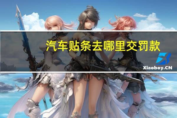 汽车贴条去哪里交罚款