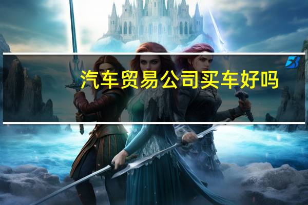 汽车贸易公司买车好吗