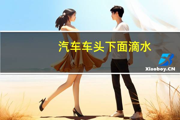 汽车车头下面滴水