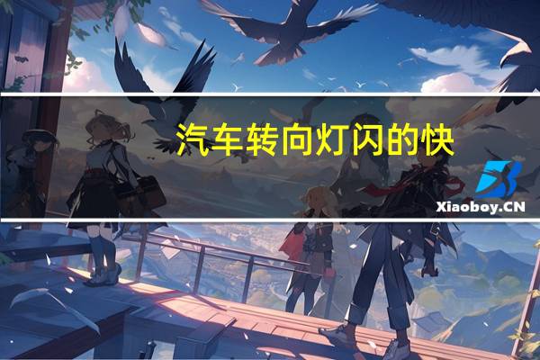 汽车转向灯闪的快