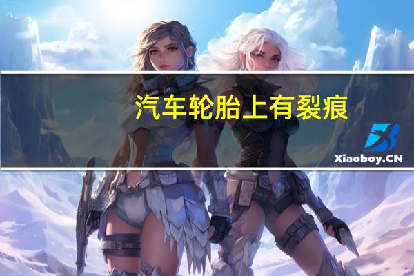 汽车轮胎上有裂痕