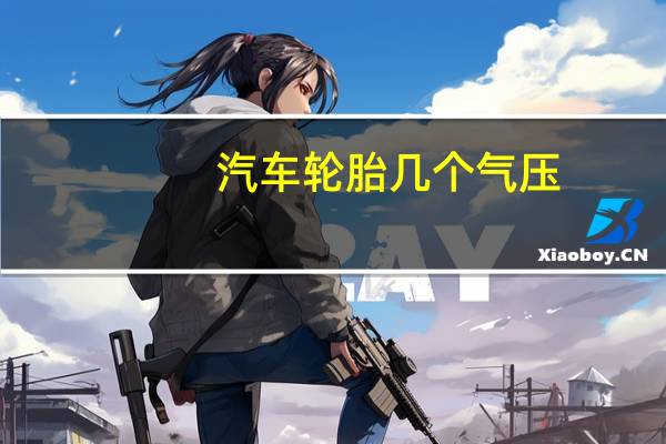 汽车轮胎几个气压
