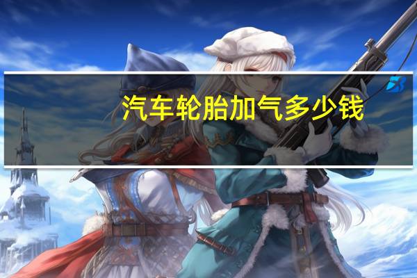 汽车轮胎加气多少钱