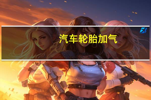 汽车轮胎加气