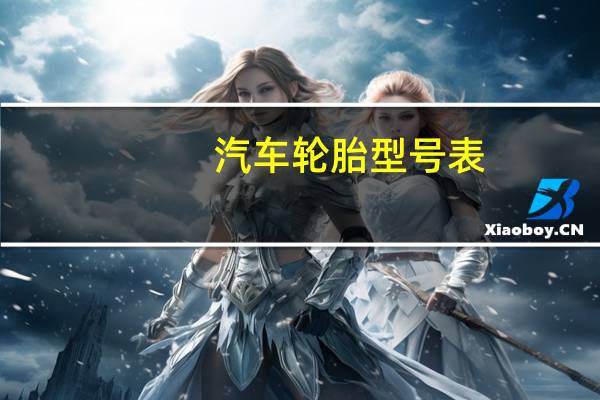 汽车轮胎型号表