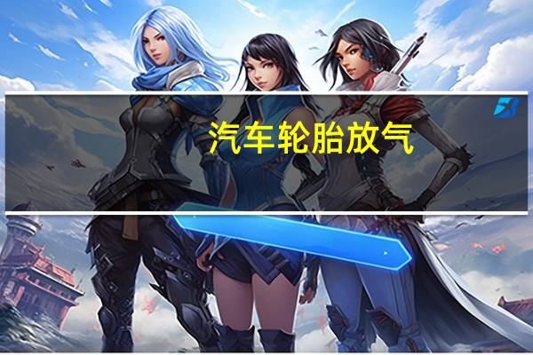 汽车轮胎放气
