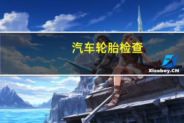汽车轮胎检查