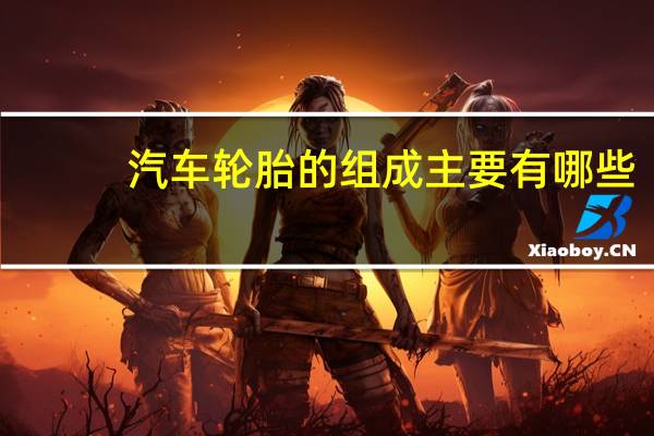 汽车轮胎的组成主要有哪些