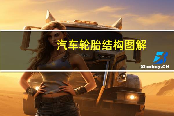 汽车轮胎结构图解