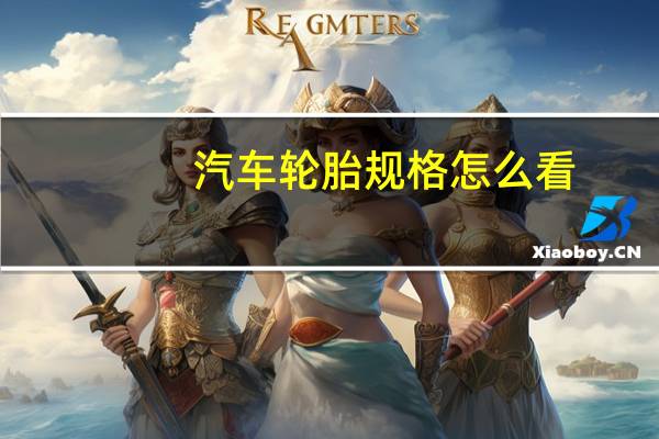 汽车轮胎规格怎么看