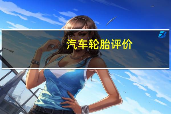 汽车轮胎评价