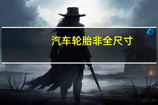汽车轮胎非全尺寸