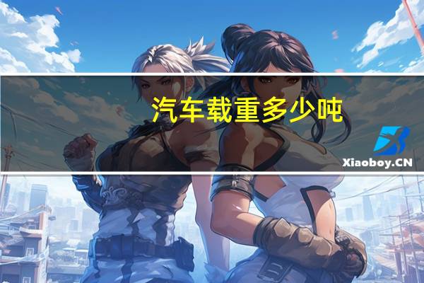 汽车载重多少吨