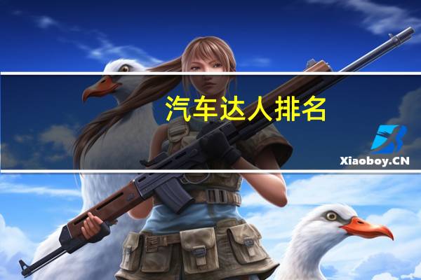 汽车达人排名