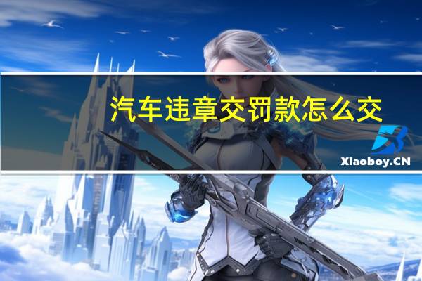 汽车违章交罚款怎么交