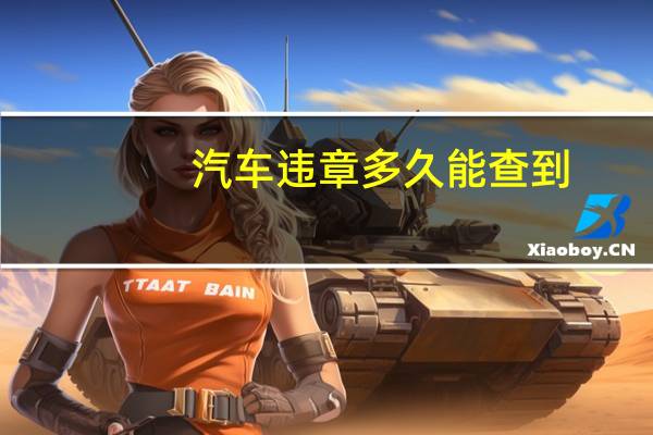 汽车违章多久能查到