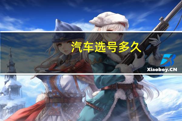 汽车选号多久